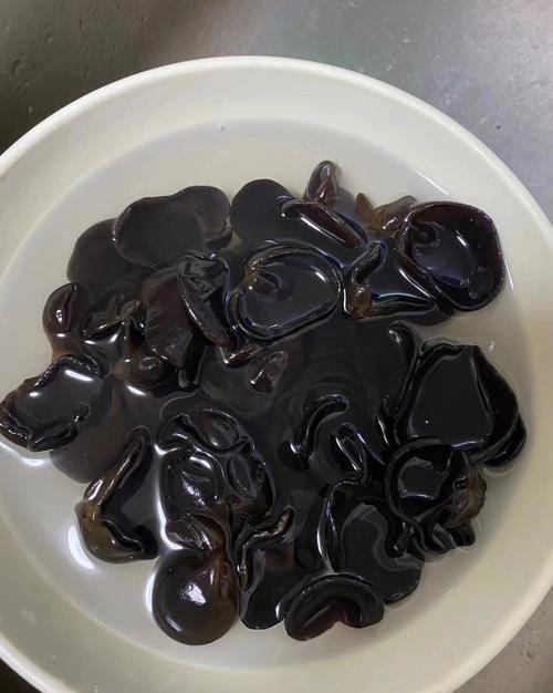 含剧毒，无解药！
每家每户都有，千万别乱吃，哪怕煮烂了也没用！
有一种毒素，煮不