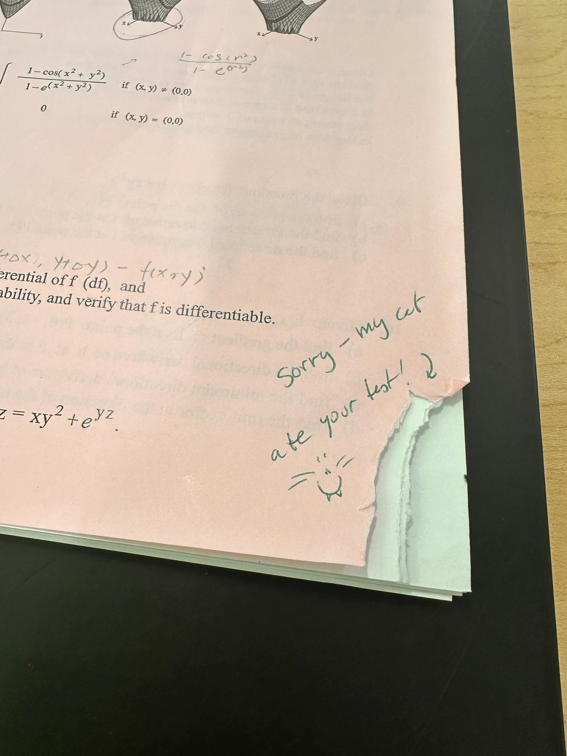 我的试卷被教授的猫吃了Professor’s cat ate my test! 