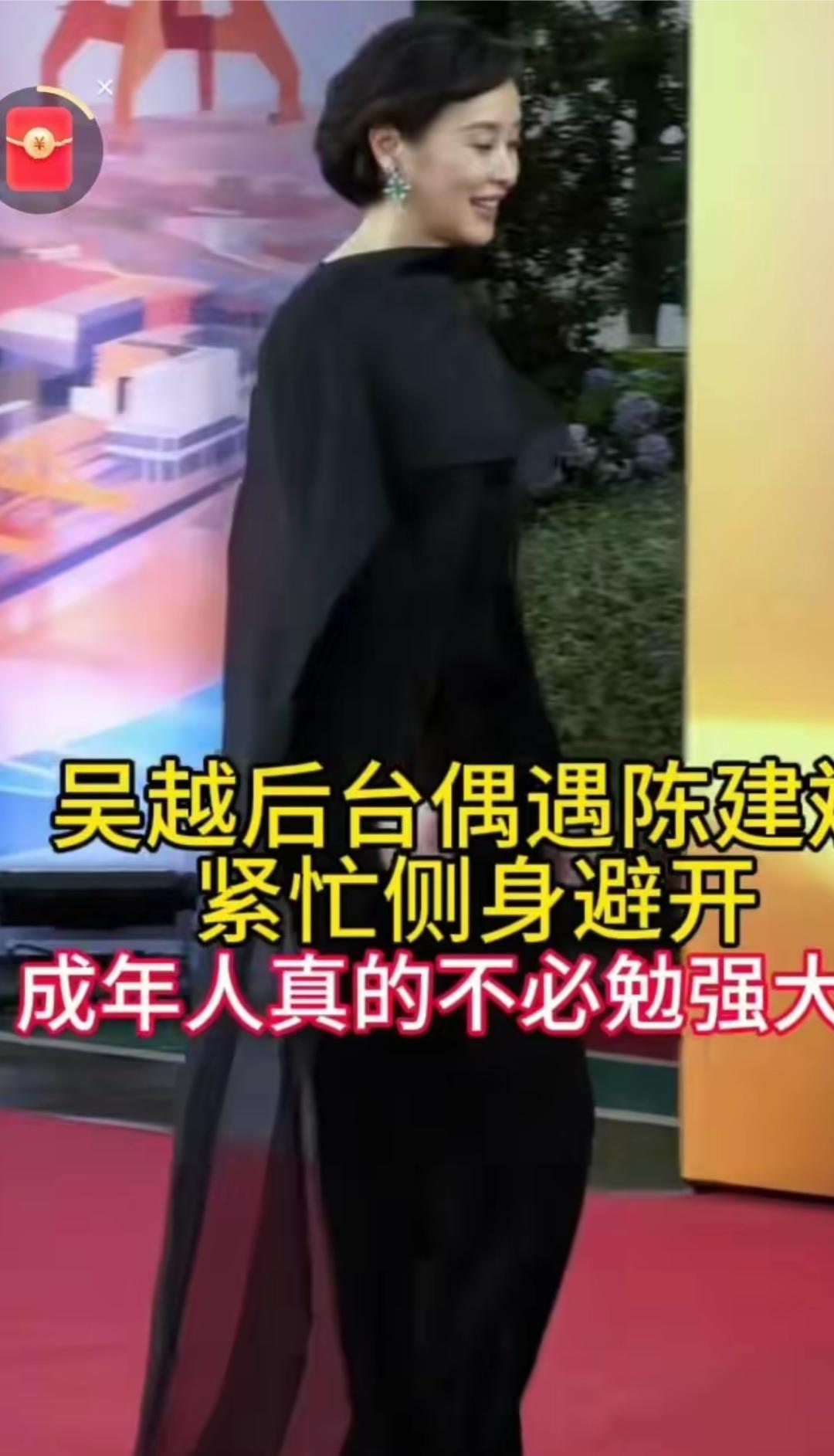 吴越和陈建斌时隔二十多年再相遇，形同陌路。
他们在颁奖后台，相遇，两人迎面走来，