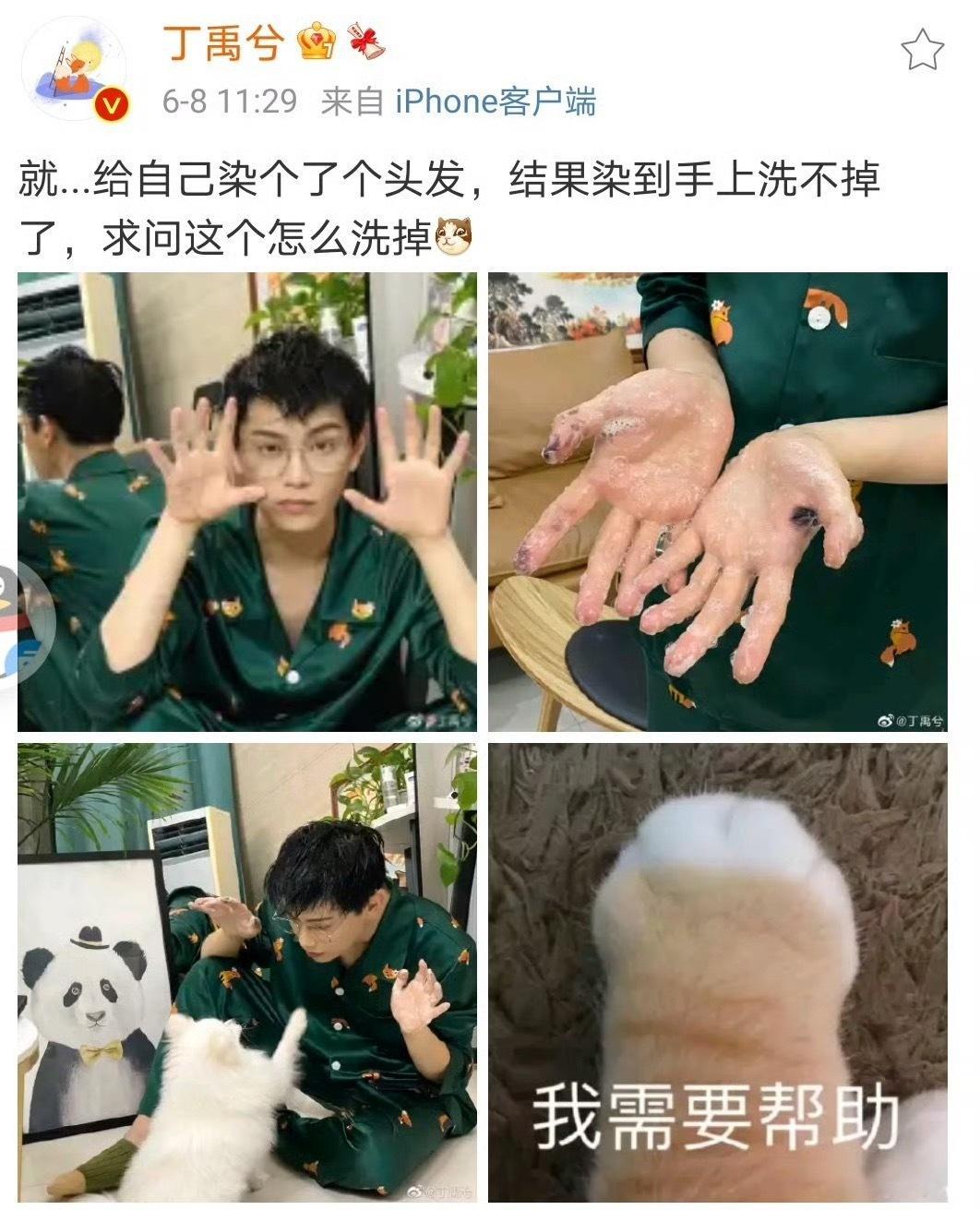 丁禹兮 超有纪念感的居家小片段， 染发后举着小黑手在线求助的丁禹兮兮  专栏 ·