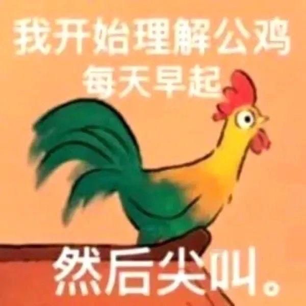 更新表情包了 ​​​