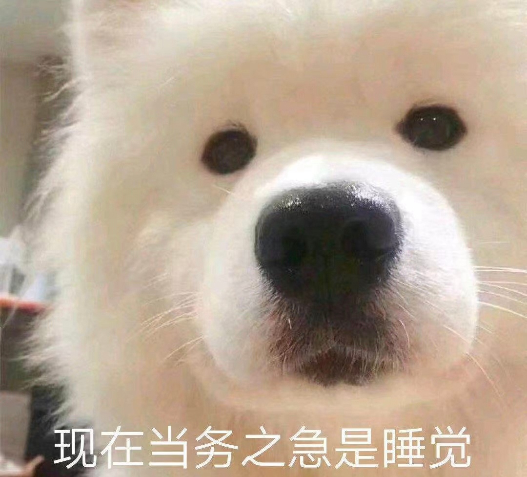 昨晚下班回来就觉得困，9点多就睡了.....一觉睡到现在好舒服啊[加油]我将再也
