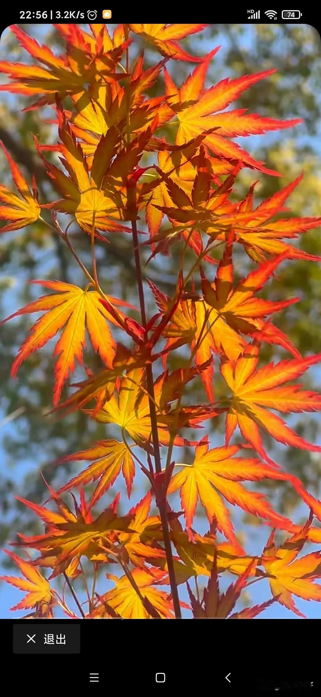 对下联原创
上联:煮茶聊天地
下联:把酒论古今
横批:如何如何