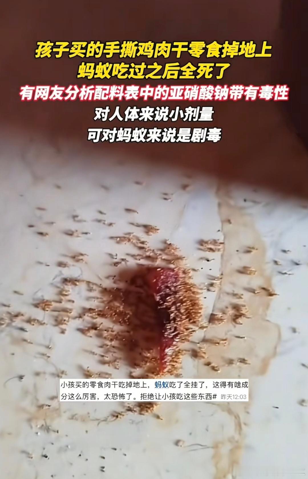 蚂蚁吃了孩子掉地上的零食全死了，零食中含有乙基麦芽酚和亚硝酸钠添加剂乙基麦芽酚是