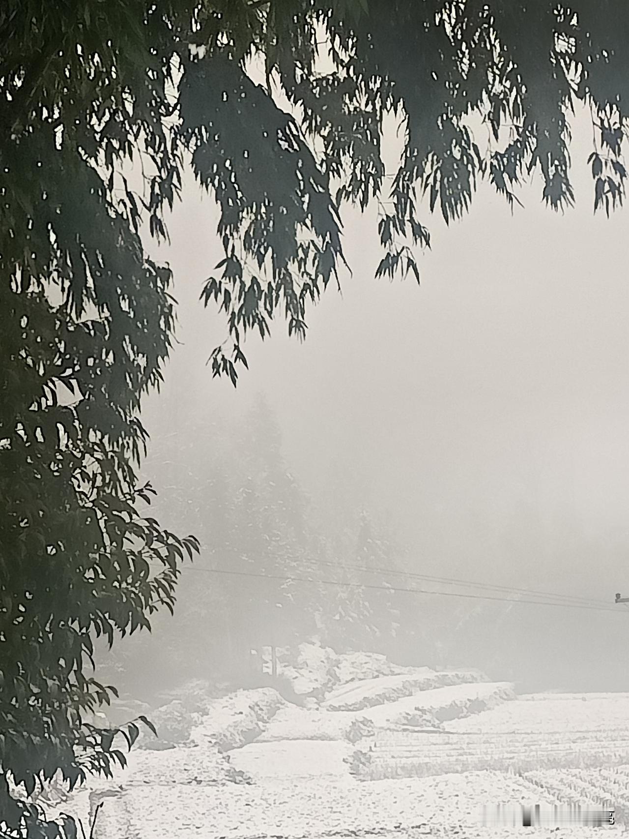 下雪天对我来说就是一项福利，我可以在床上多躺会儿，即便9点钟起床也不会有人打扰！