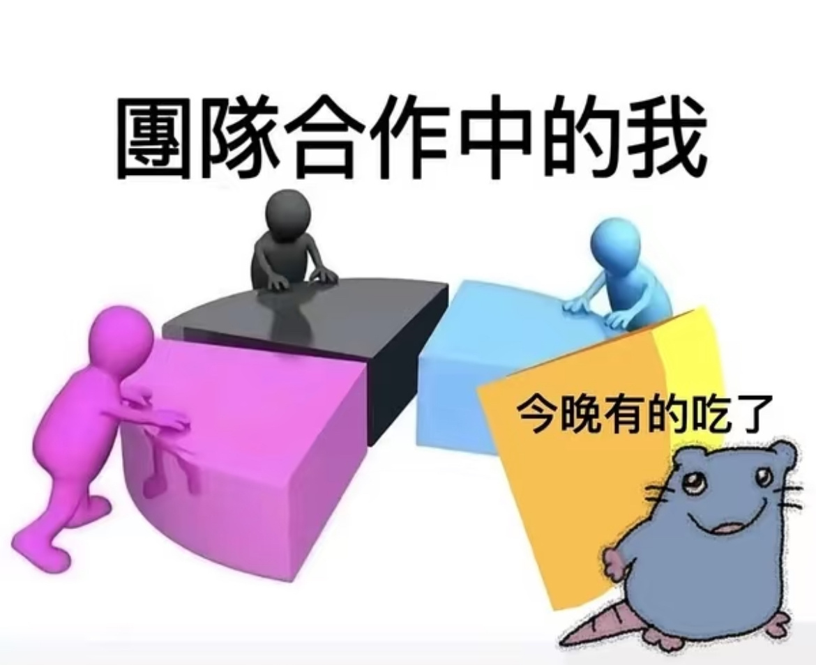 嘿嘿芝士🧀 
