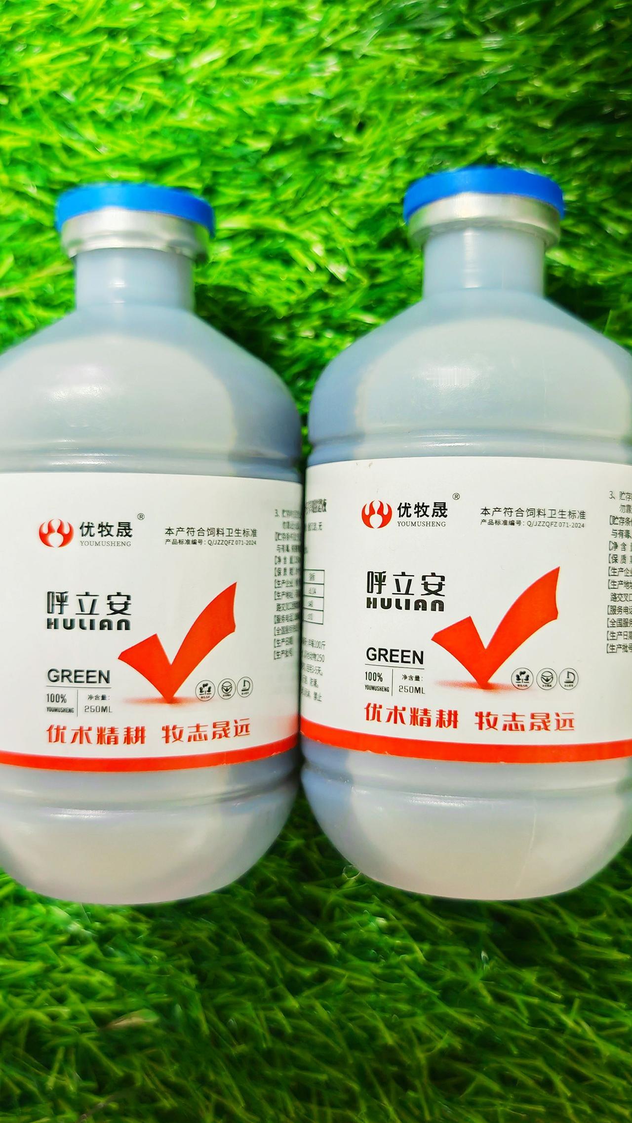 养羊人 牛羊咳喘 农村养羊