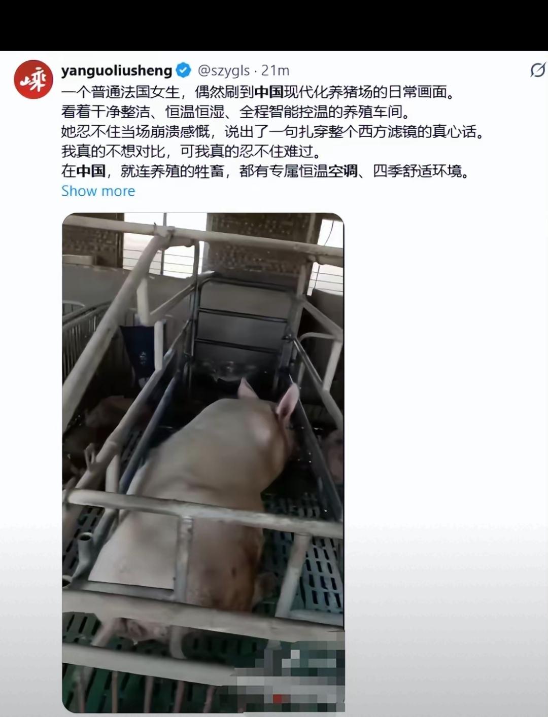 热浪撕开双重标准，吹了多年的无空调神话彻底破灭！

以前总有人使劲吹捧欧洲不用空