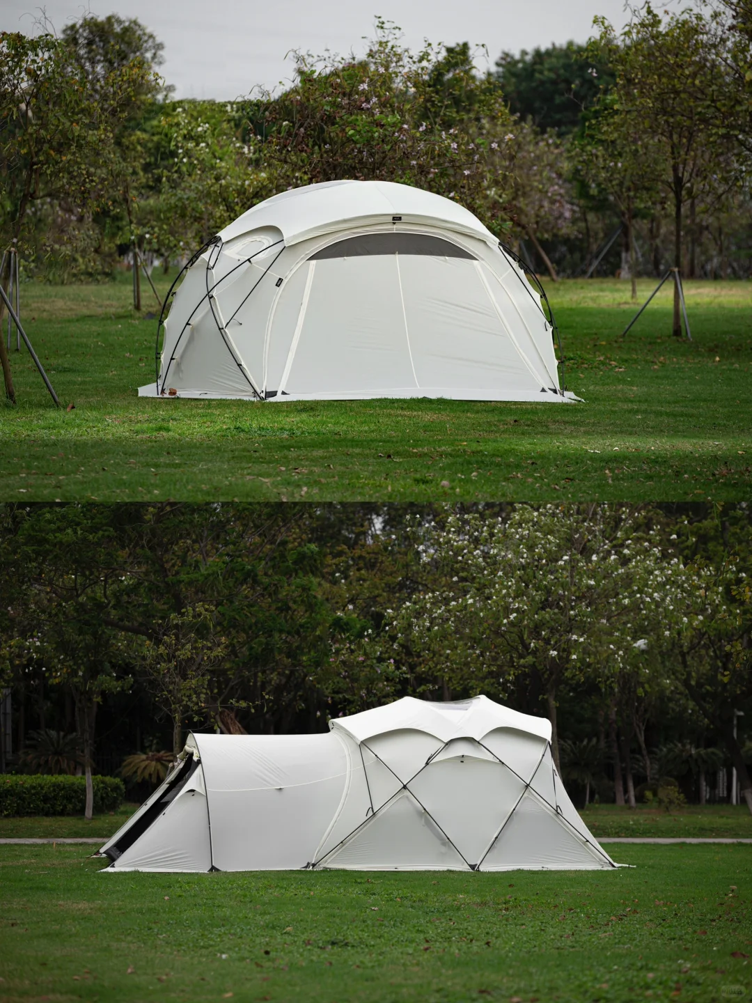 帐篷的细节从哪里看？