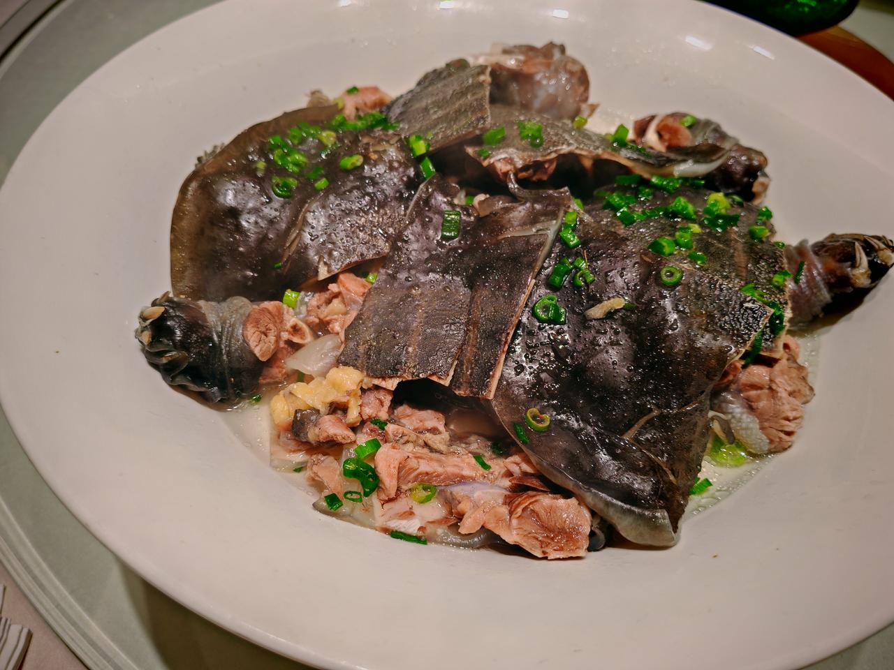 天南地北大拜年