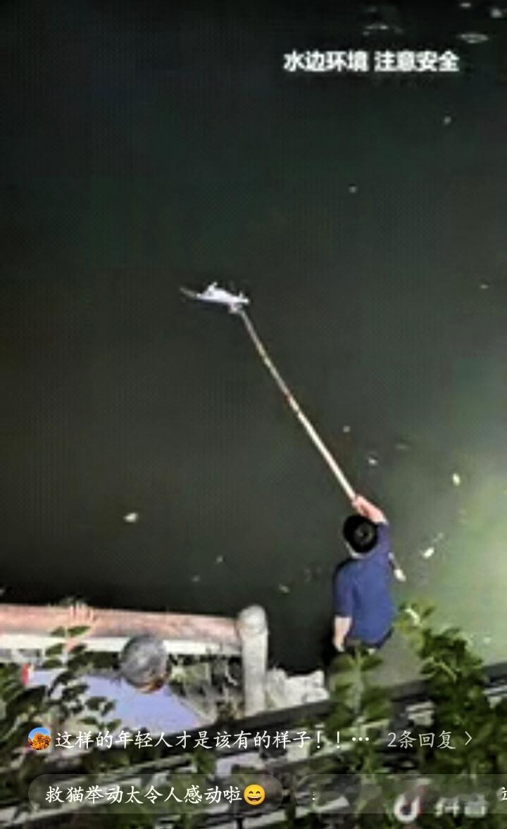 上人民日报了！成都，锦江畔上一只流浪猫落水，因为体力不支再也没有力气游向岸边，岸