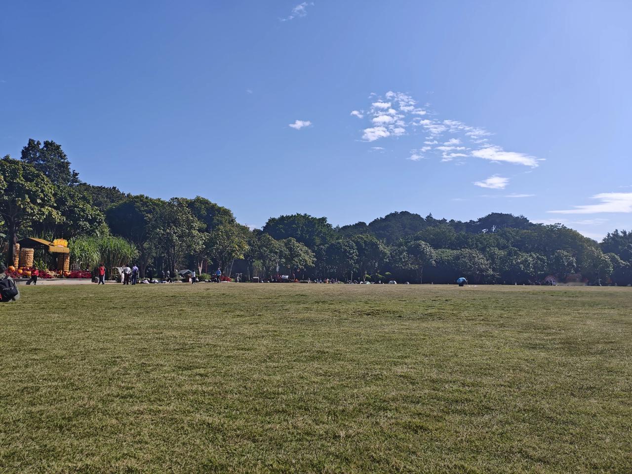 虽然已经是冬天了，但是在华南的南宁艳阳高照，绿草如茵，生机勃勃，暖意融融，一片春