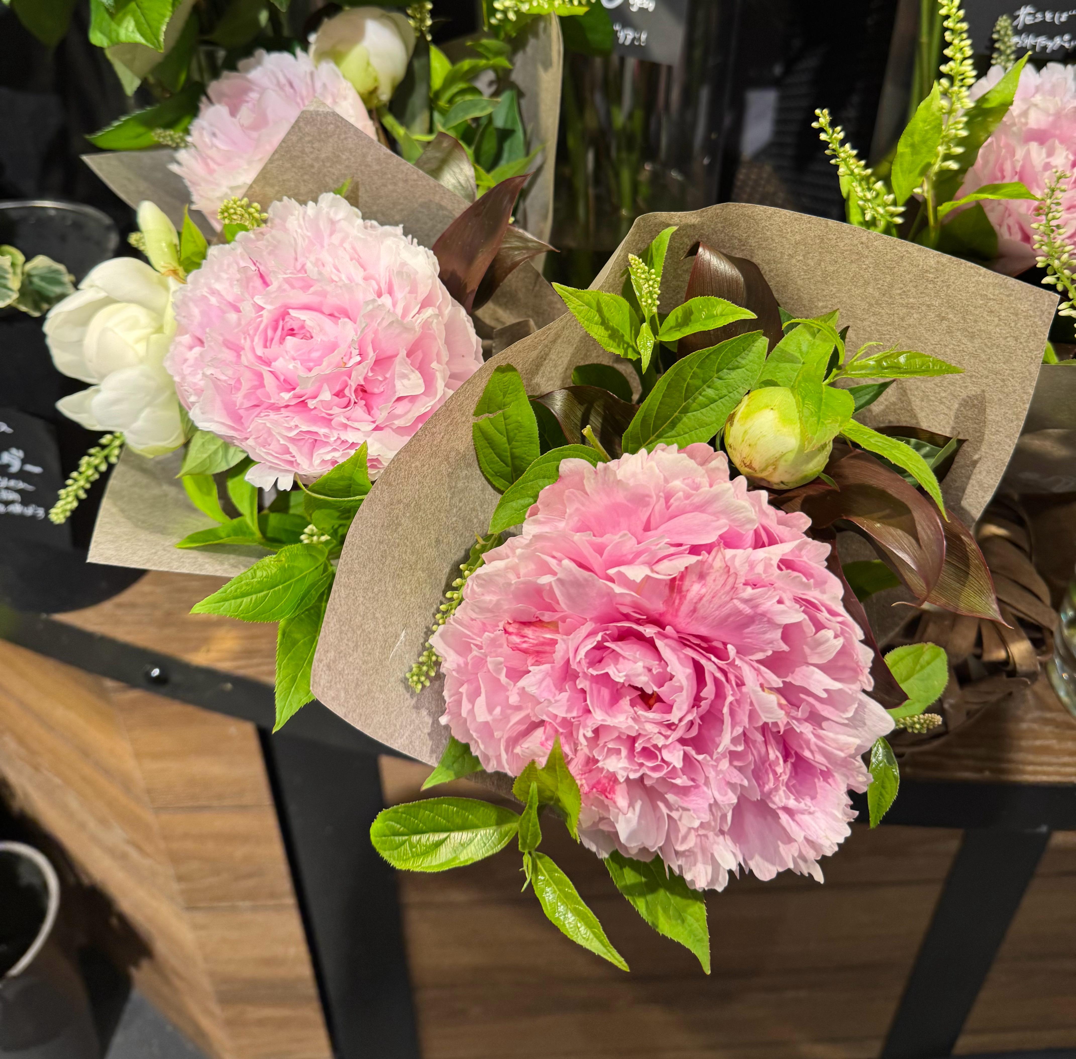 英语peony兼指牡丹和芍药（Paeonia芍药属），Chinese peony