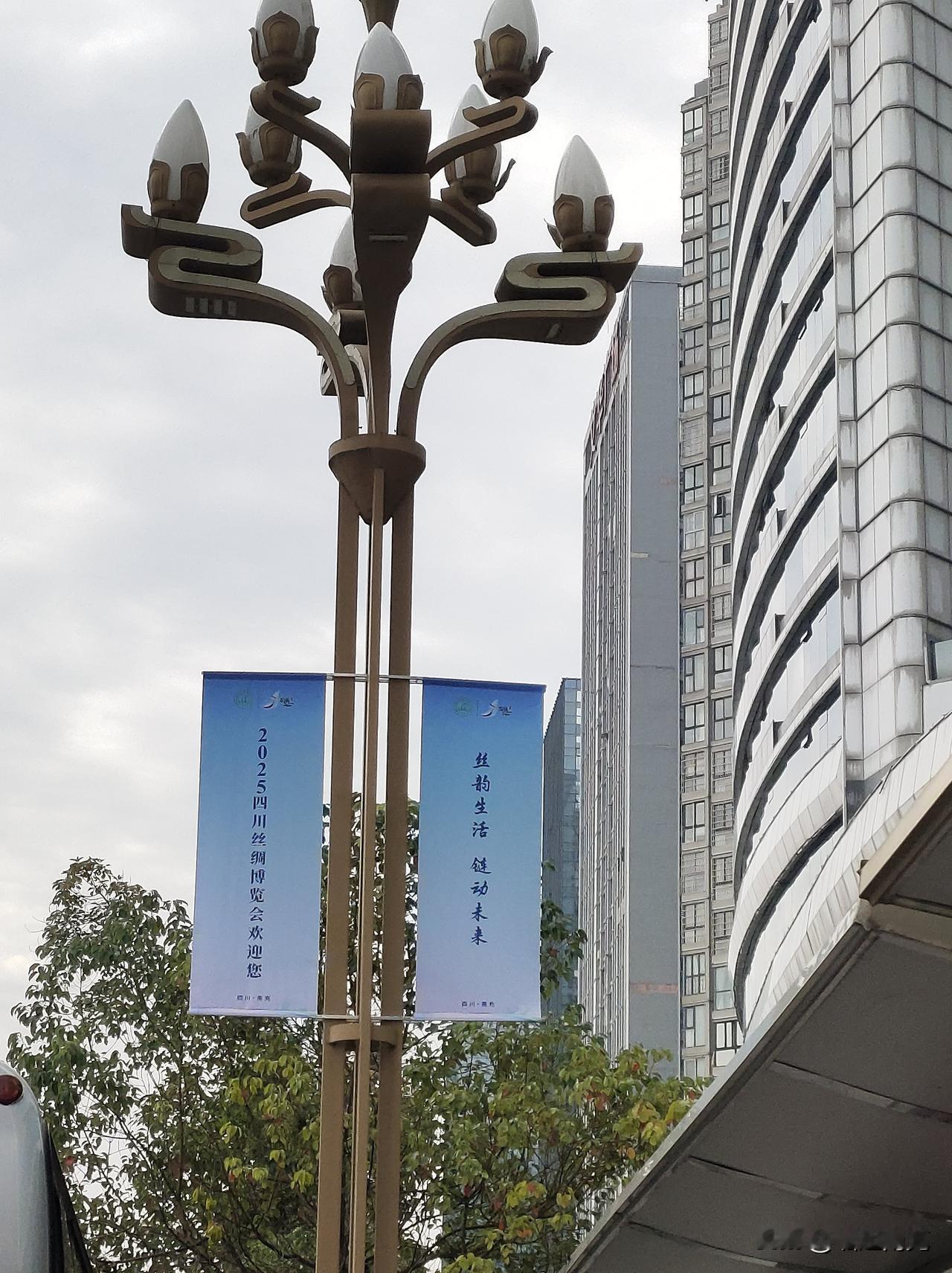 网友：南充丝博会灯杆上的宣传幅字小？且一条大道有的挂了有的没有挂？
网友爆料称：