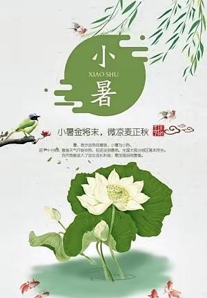 《小暑》
 
暑风初起昼渐长，沃野晴光漫四方。
晓雾轻随晨露尽，蝉声悄入柳阴凉。