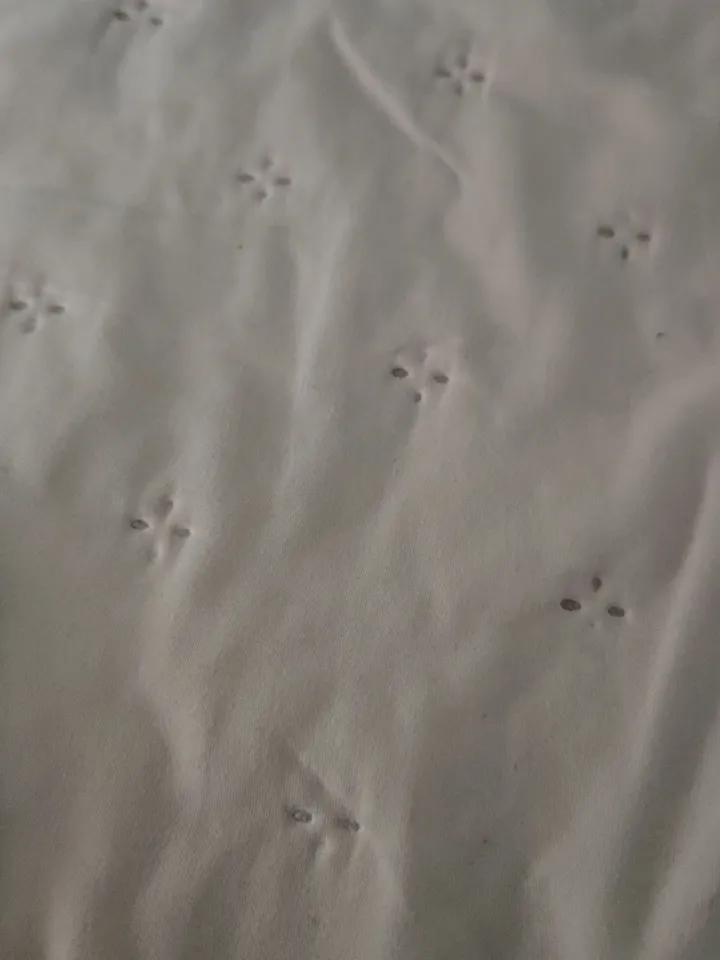 你有多少年没把央视春晚看完了很多年了，我最喜欢的小品演员赵本山没上之后，就很少看