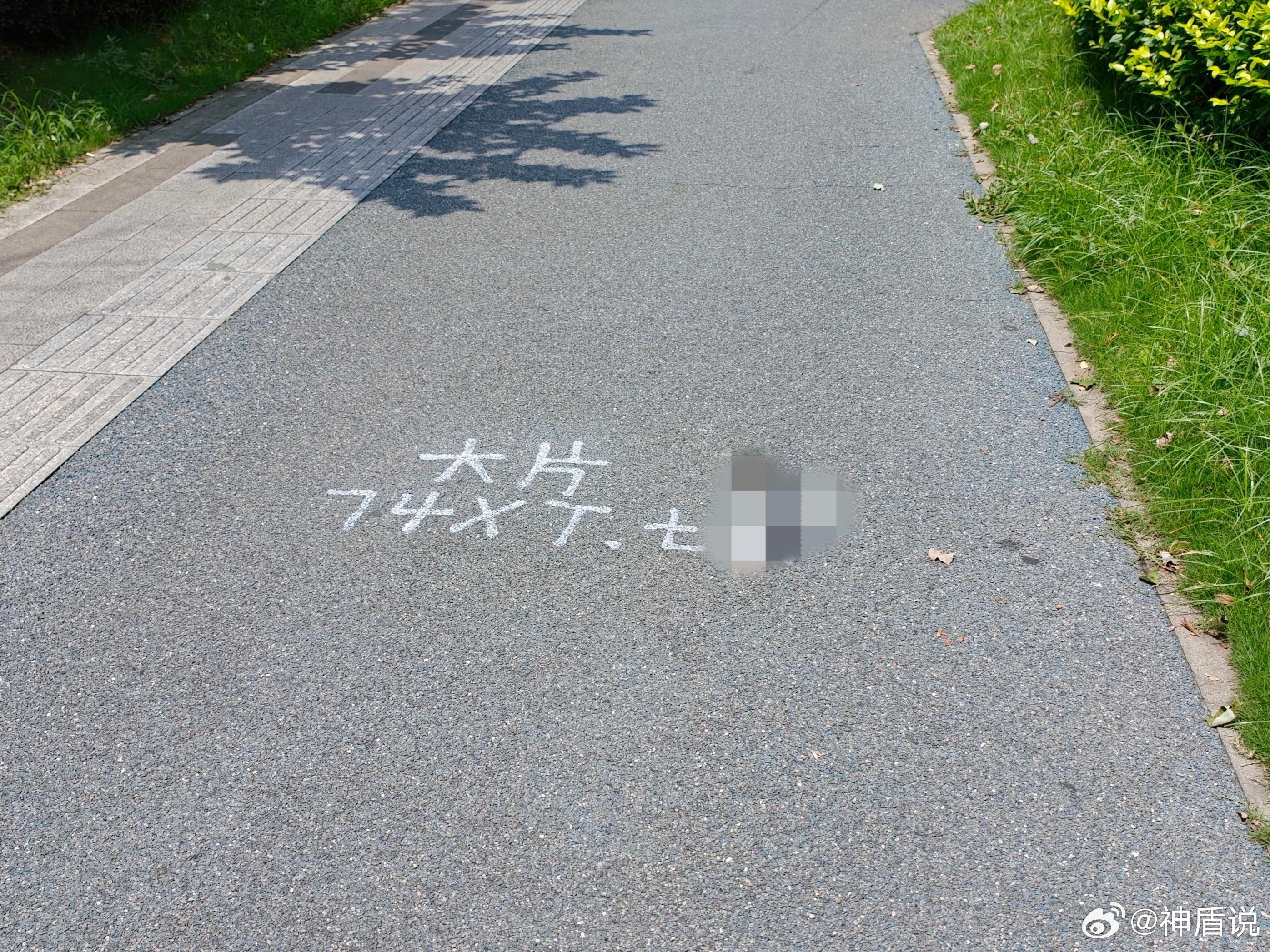 牛皮癣广告的新形式！既弄脏的道路，又传播了不良内容，这种行为必须严惩！为了维护良