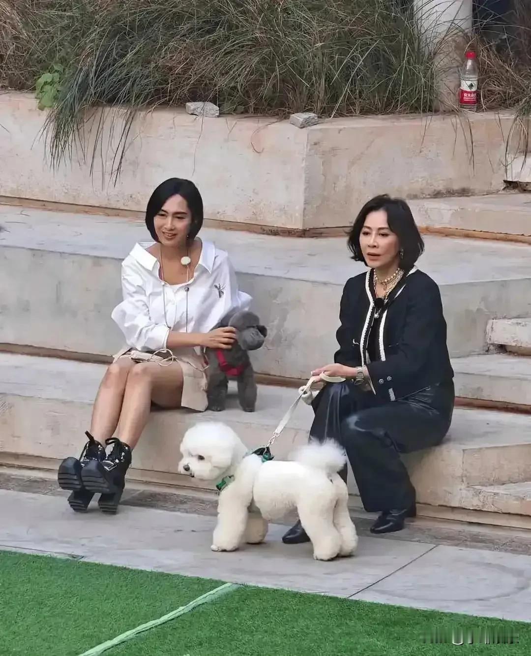 女明星年轻时即使貌美如花，也难逃年老变丑。世间所有美丽的女子也难逃这一命运。时间