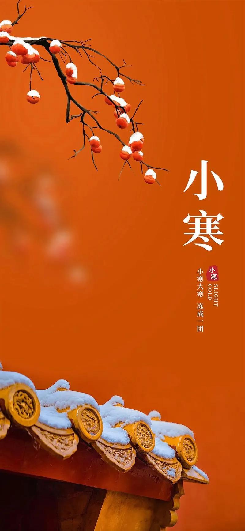 临江仙·小寒
小寒夜半风乍起，
吹开帘幕微茫。
梦回犹觉枕衾凉。
雪前人影瘦，