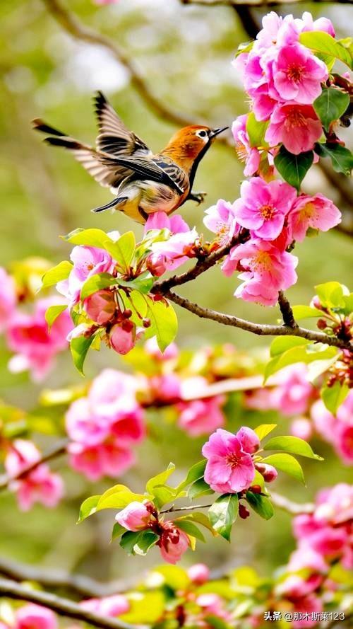 头条邀对
上联: 鸟语花香春色美，诚邀下联
上联:鸟语花香春色美(头条)
下联: