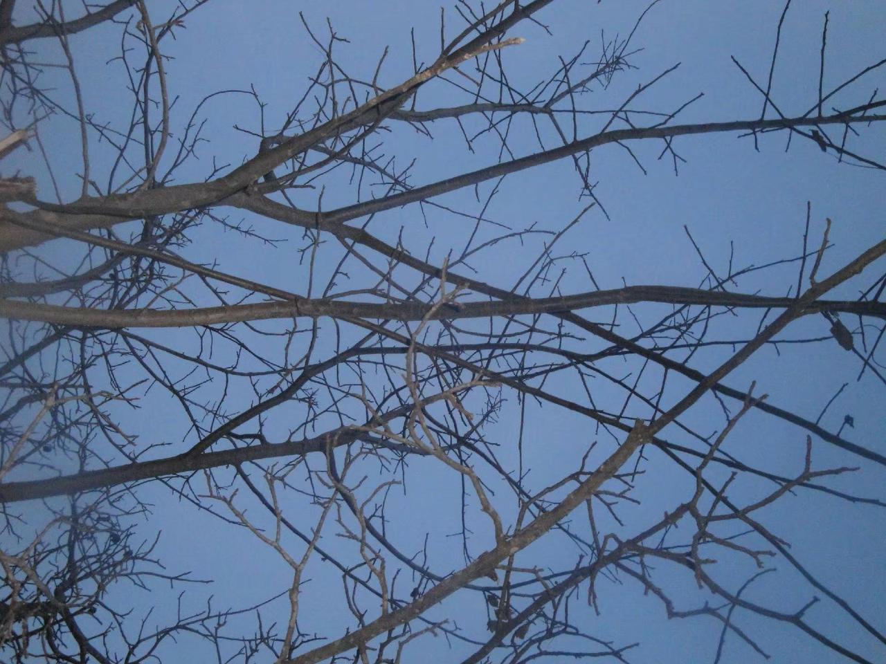 听说这个音乐会火