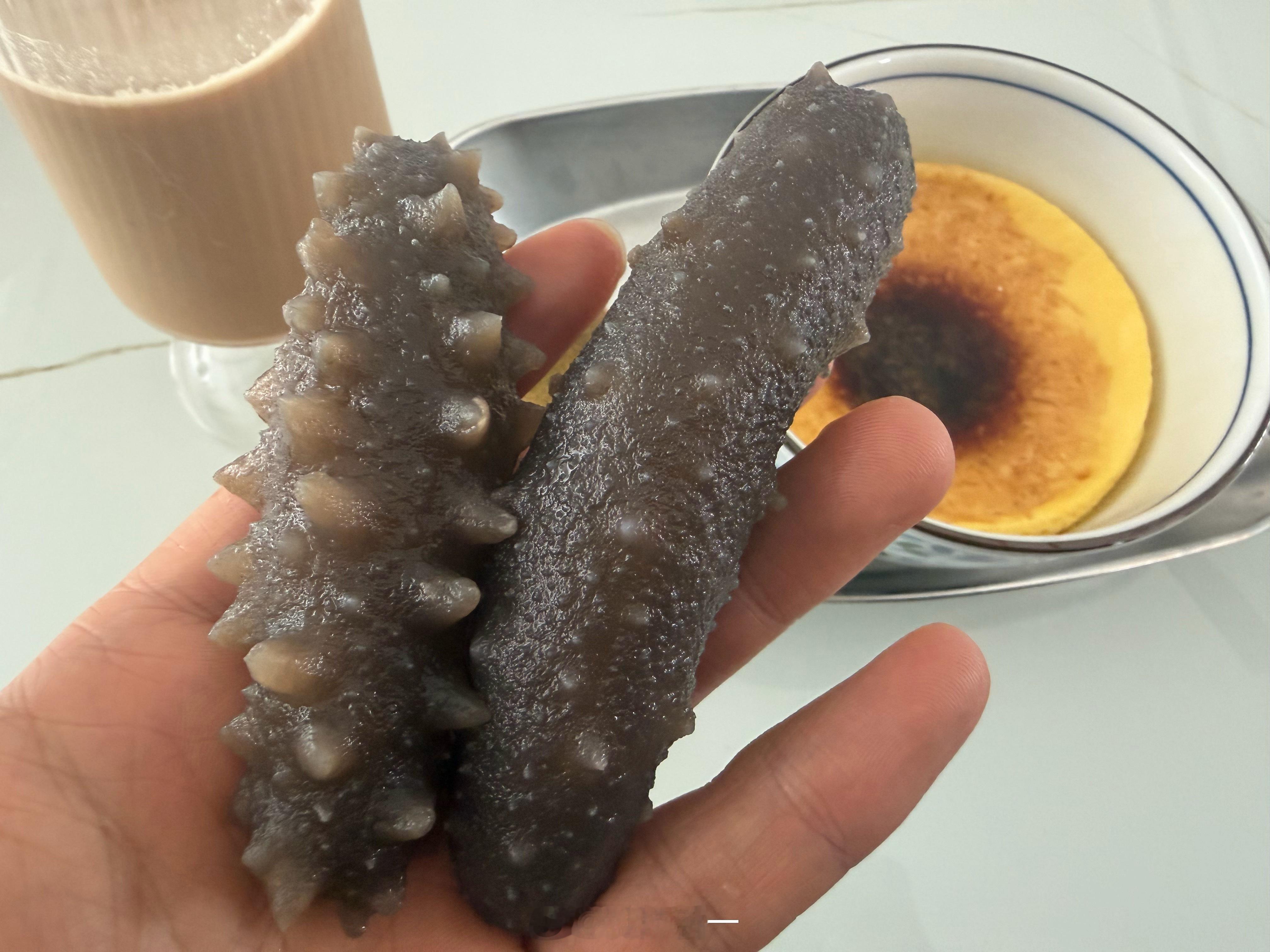 今日早餐，有没有懂海参的给我解释一下，为啥有的刺那么多？有的刺那么少？