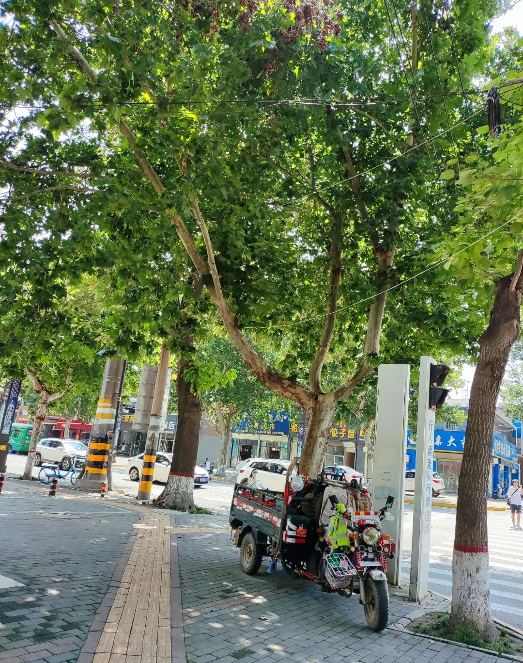 今天来渭南临渭区出差，发现渭南市区比西安还热！
按理说渭南比西安人口少的多，但明