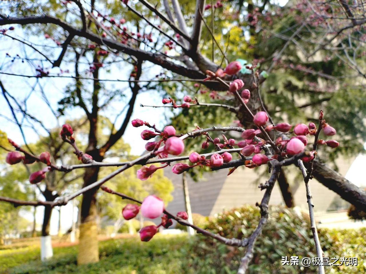 调到机关也不去

今天与两个80后的女同事在一起聊天，她们都是兄弟单位的，一位是