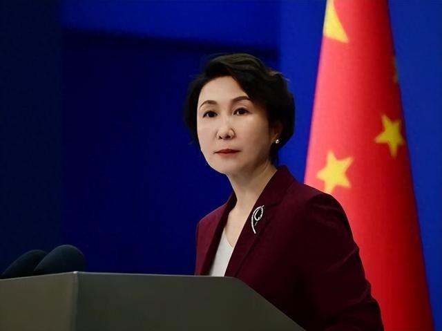 十周年这天，果然还是那只熟悉的"跟班"先坐不住。

2026年7月12日，"南海
