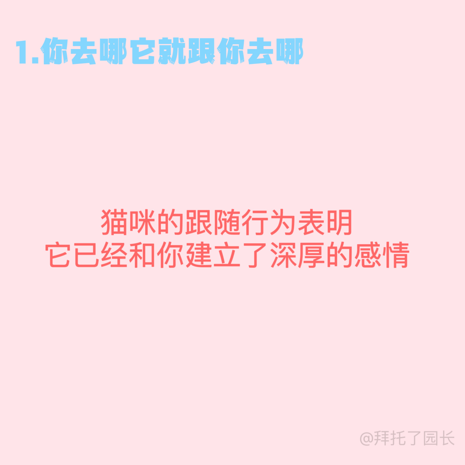 #猫咪把你当妈妈的10种表现# 看看你的小猫咪有在爱你吗～还是单纯的把你当作喂食