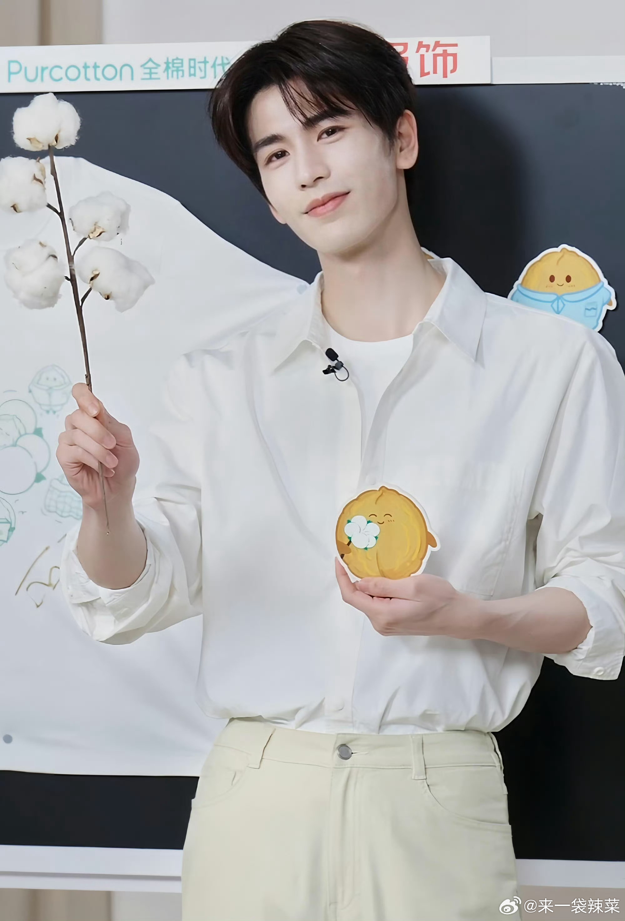 张凌赫直播棉花张凌赫，让我幻视何苏叶