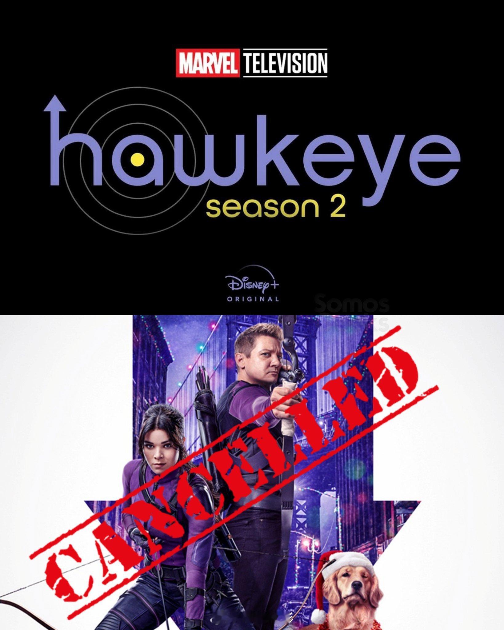 《鹰眼》第二季可能无了。最近制片人安德鲁·盖斯特证实，开发第二季的时机不合适。可