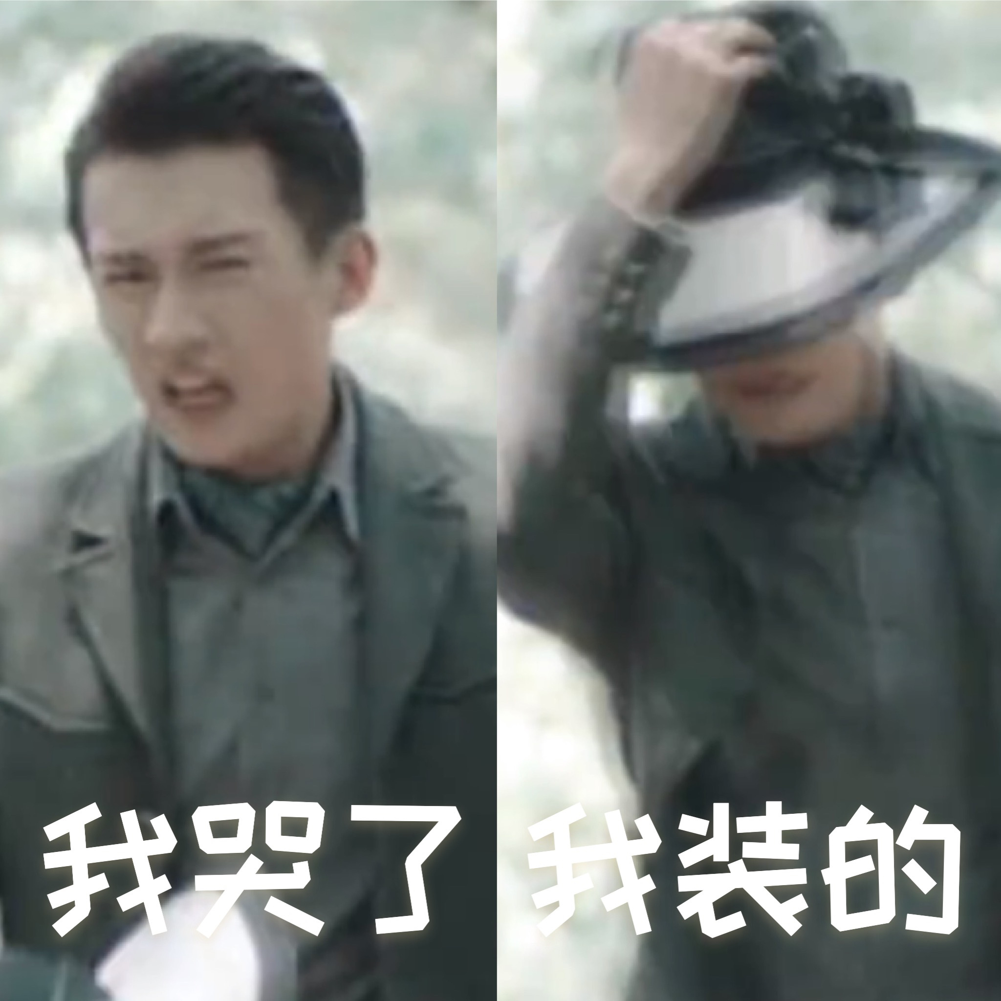 突然意识到，刘学义到目前为止，在央视上星的两部男主剧，成绩都非常好。一部《画眉》