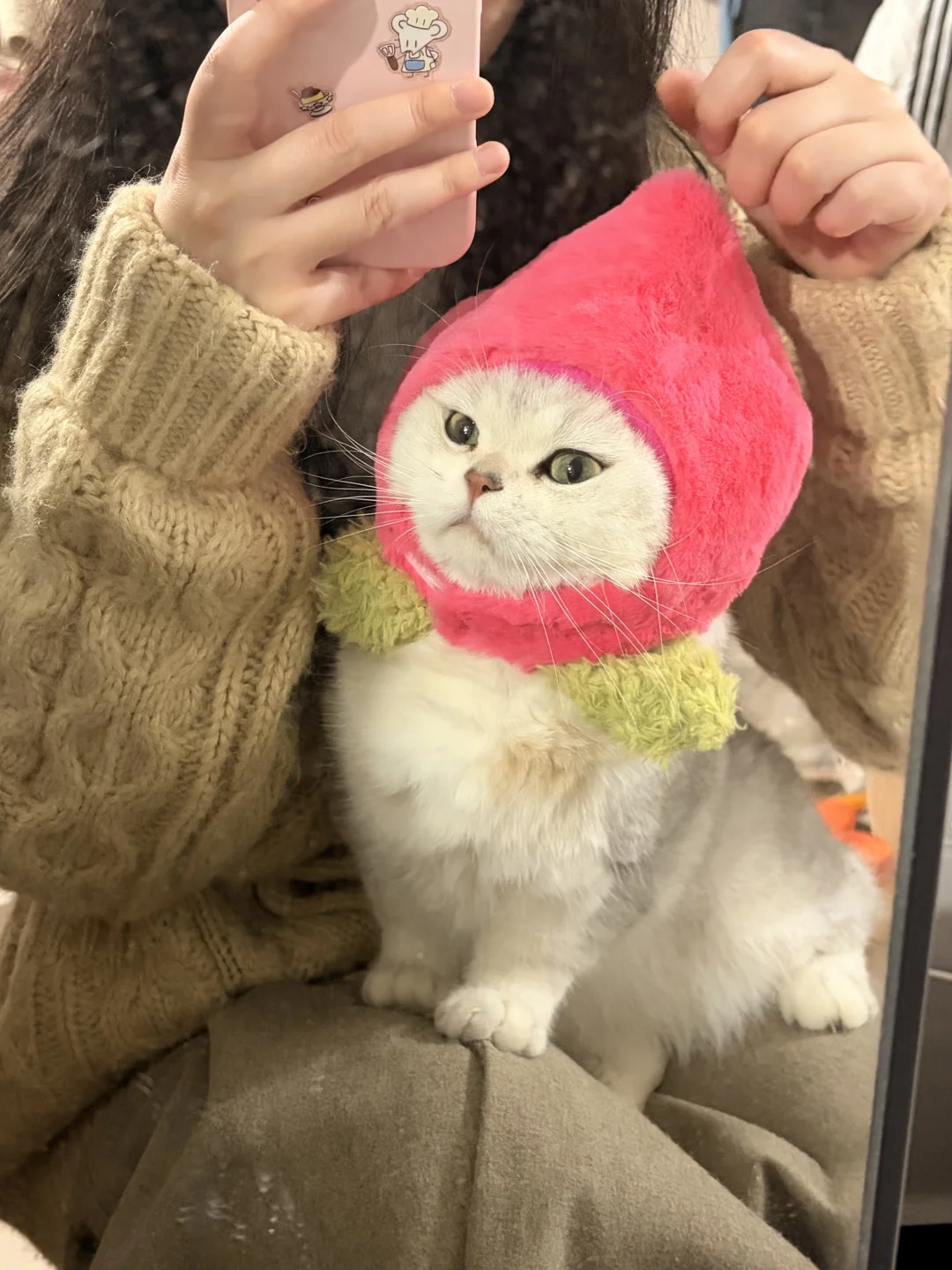 小猫怎么这么呆萌🍑