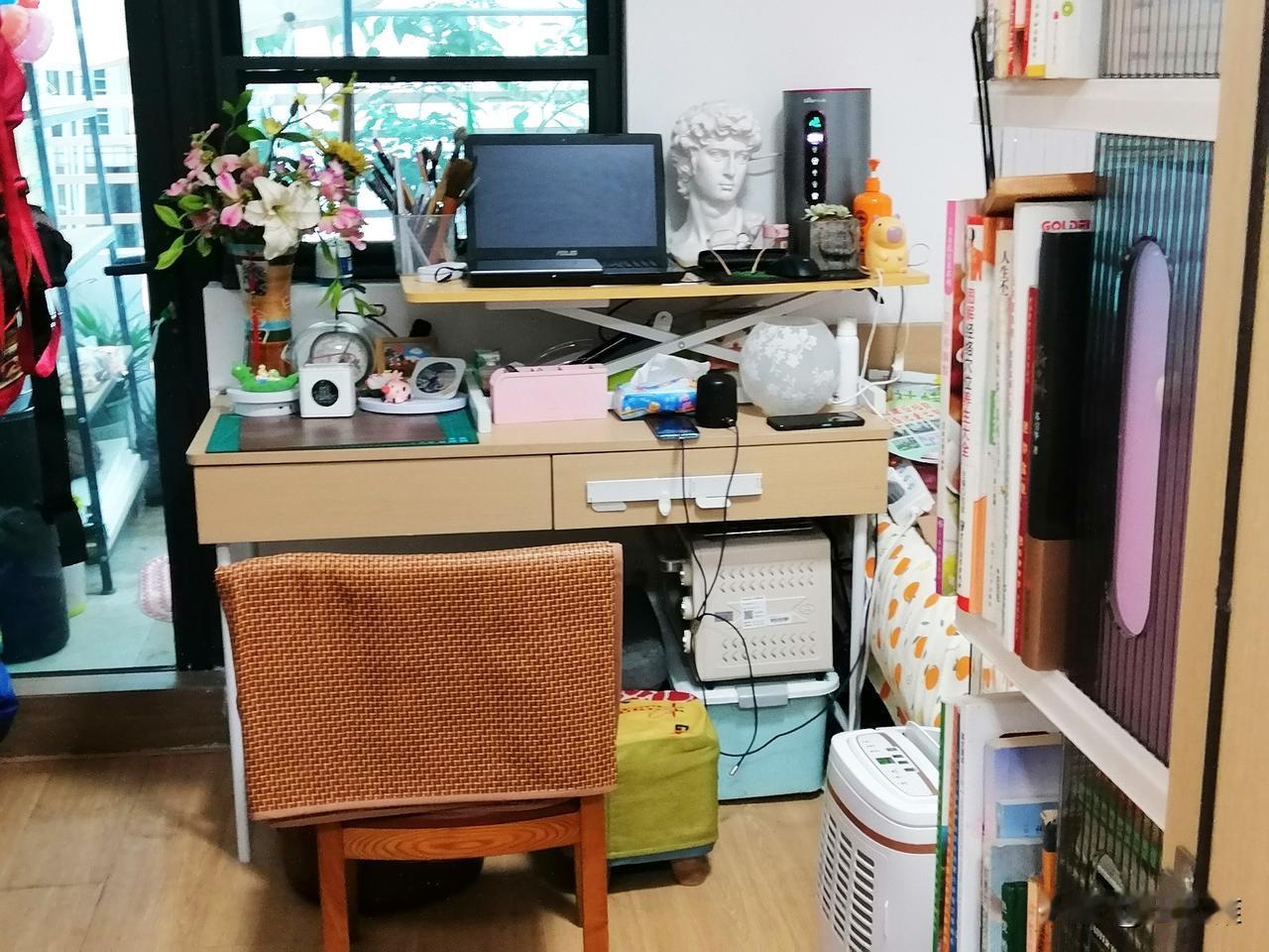 今天发生了一件十分让我心痛的事。

我放在厨房餐桌上的石膏像让我不小心碰到地上去