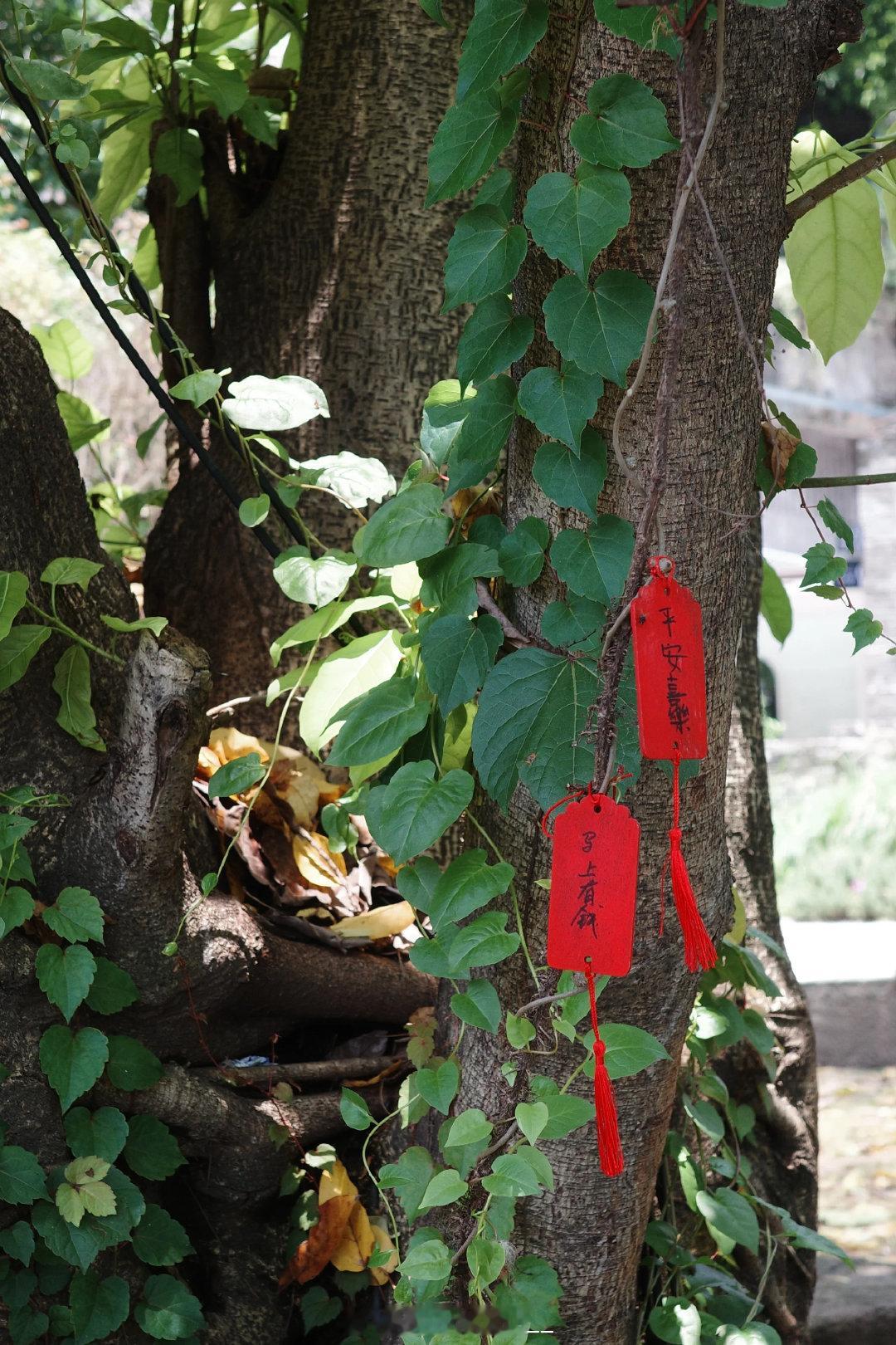 早安  ⛅️·𝙈𝙤𝙧𝙣𝙞𝙣𝙜·看淡生活里种种不如意，稳住心绪，所有