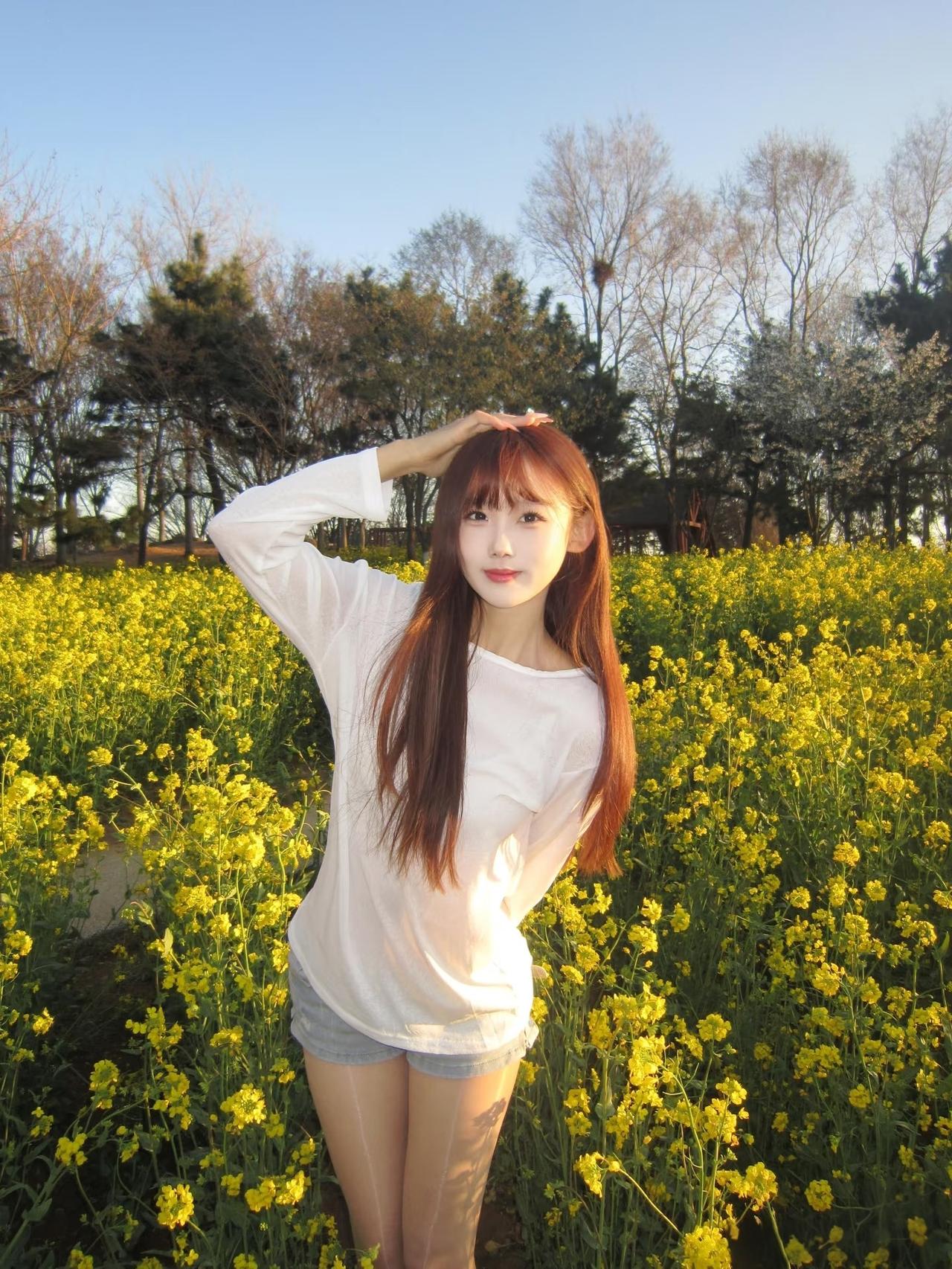 满地都是油菜花