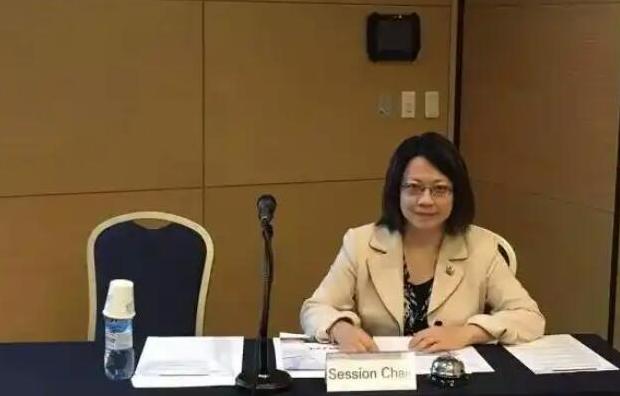 看哭了！西工大博导严红，放弃美国大学教授身份，回国死磕发动机，攻克高超音速飞行器
