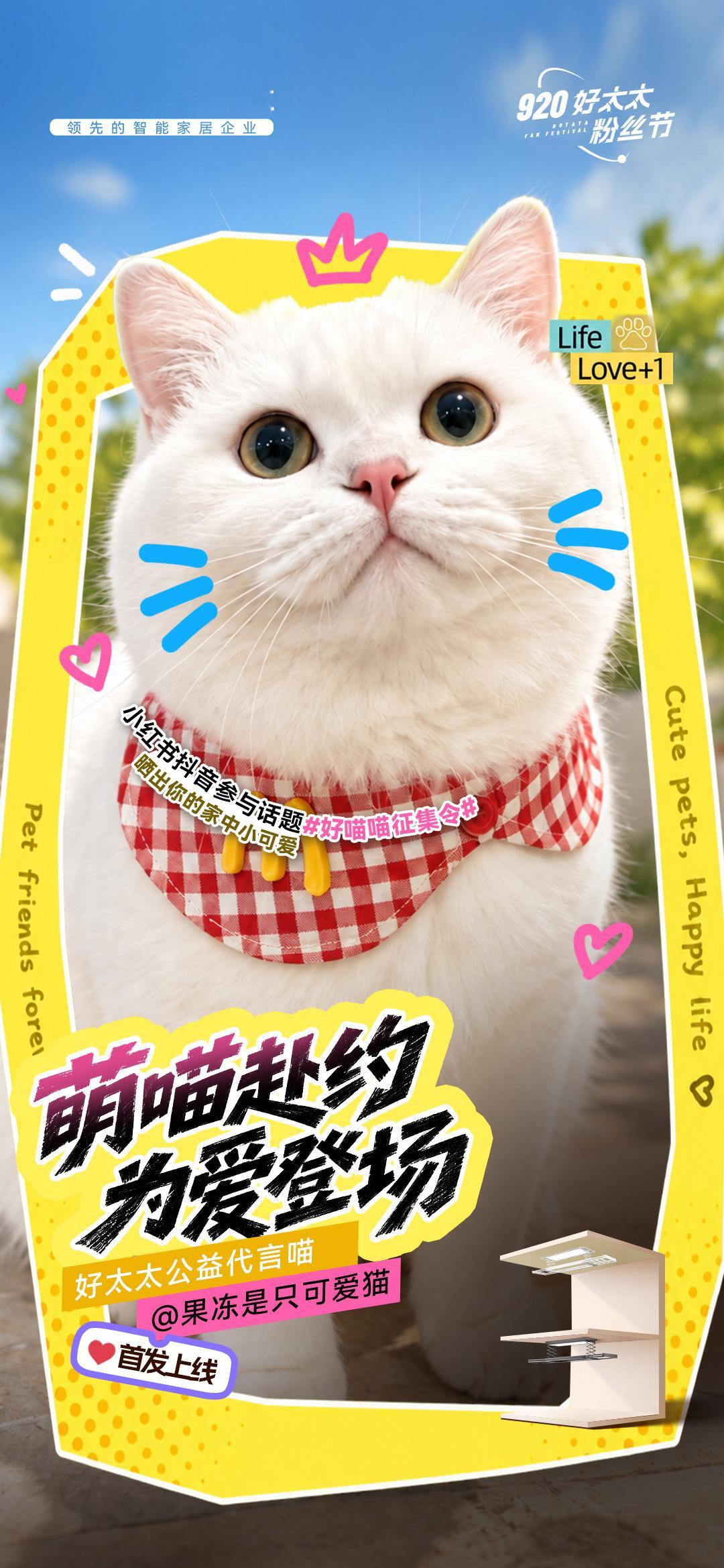 920好太太爱宠公益计划🐱萌喵赴约，为爱登场 🌟好太太公益代言喵 首发上线 
