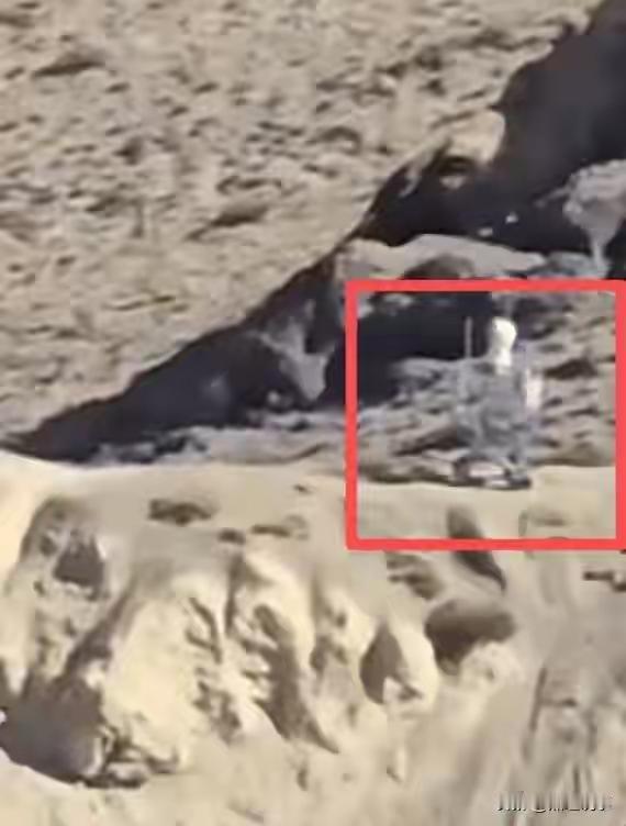 中国机器人哨兵站岗中印边境咱解放军的科技力太提气！机器人哨兵守边疆，电动摩托拓机