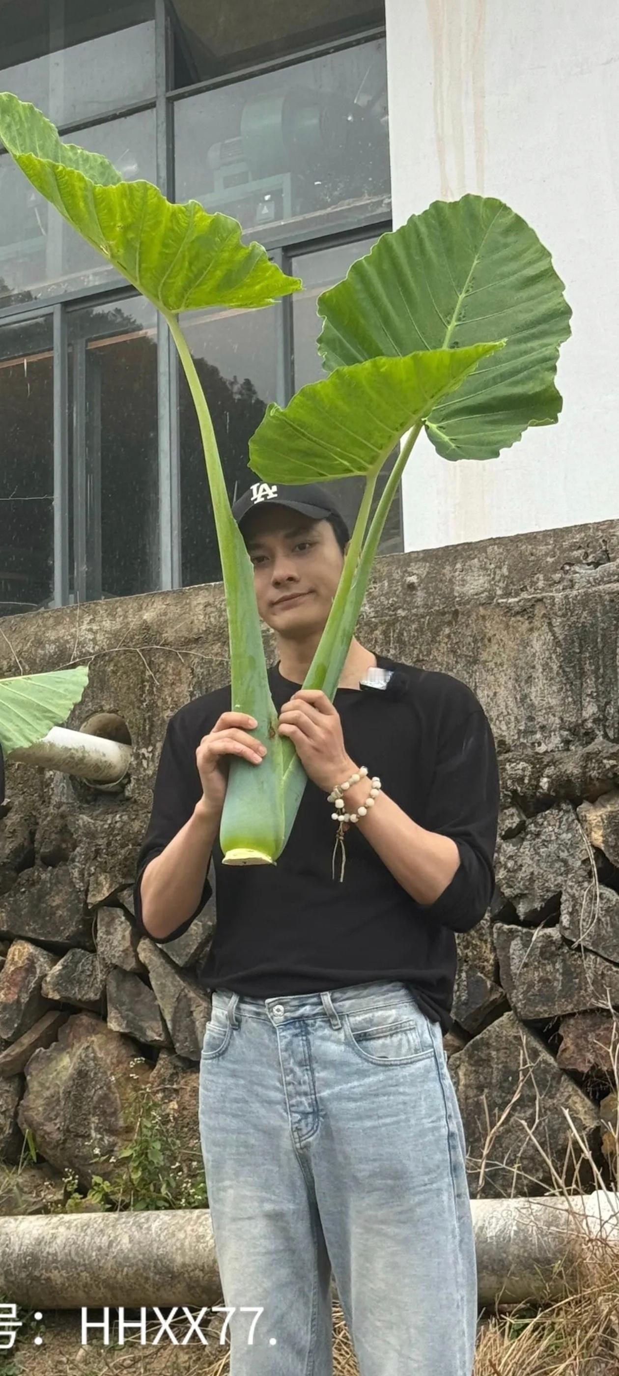 伟健全霖下乡记cr 网页链接