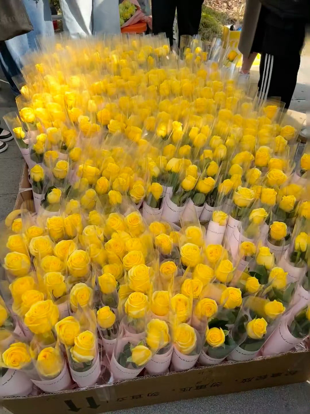 田栩宁F1活动 柠檬水也太给力了吧 好安心！！！活动现场黄色元素拉满🍋直接给到