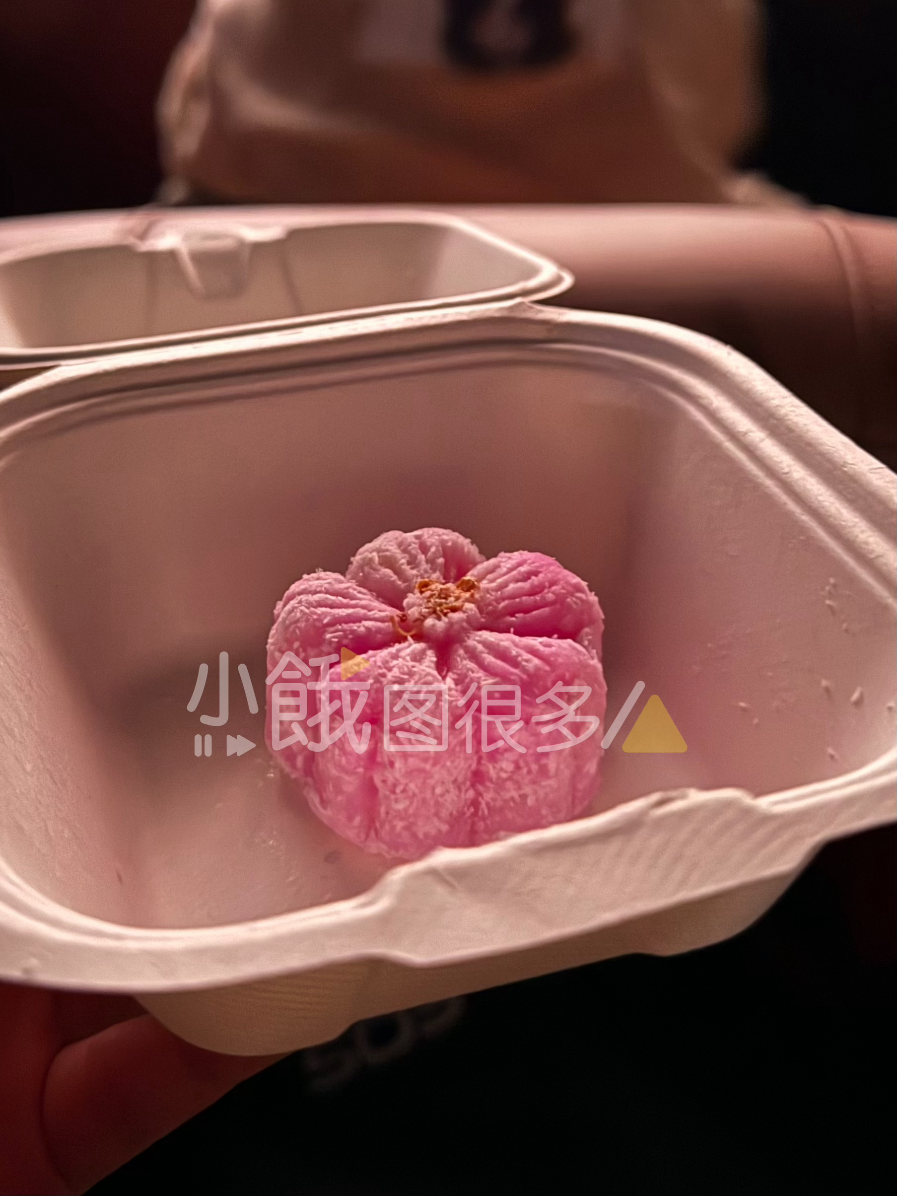 拿到了好大儿亲手做的隔夜糕点，啊哈哈哈🤣 浅尝一口，黄俊捷他居然没放糖[笑cr