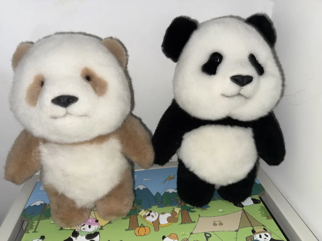 520送自己2只熊猫🐼