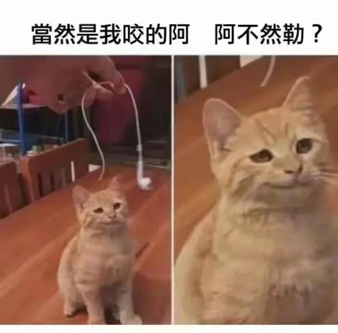 好家伙，这个上扬的嘴角[捂脸]