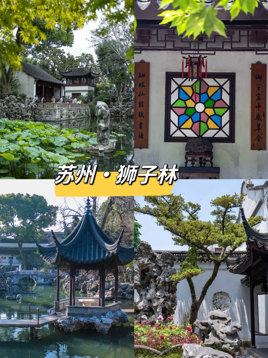 狮子林怎么玩？看这一篇就够啦！
