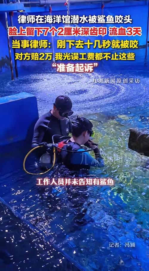 下水十几秒遭3米鲨鱼撕咬头部！景区仅赔2万草草了事，受伤律师决定起诉追责
 
“