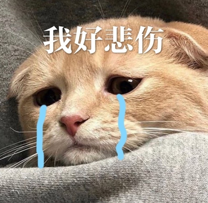 经过不断奋斗，我终于成功背上了大几十万的房贷