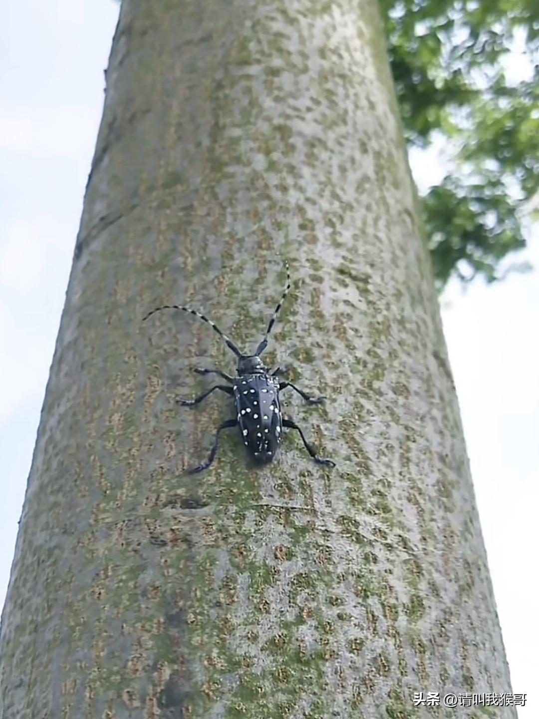 这个东西前两年不是炒的很火吗？现在都没人要了