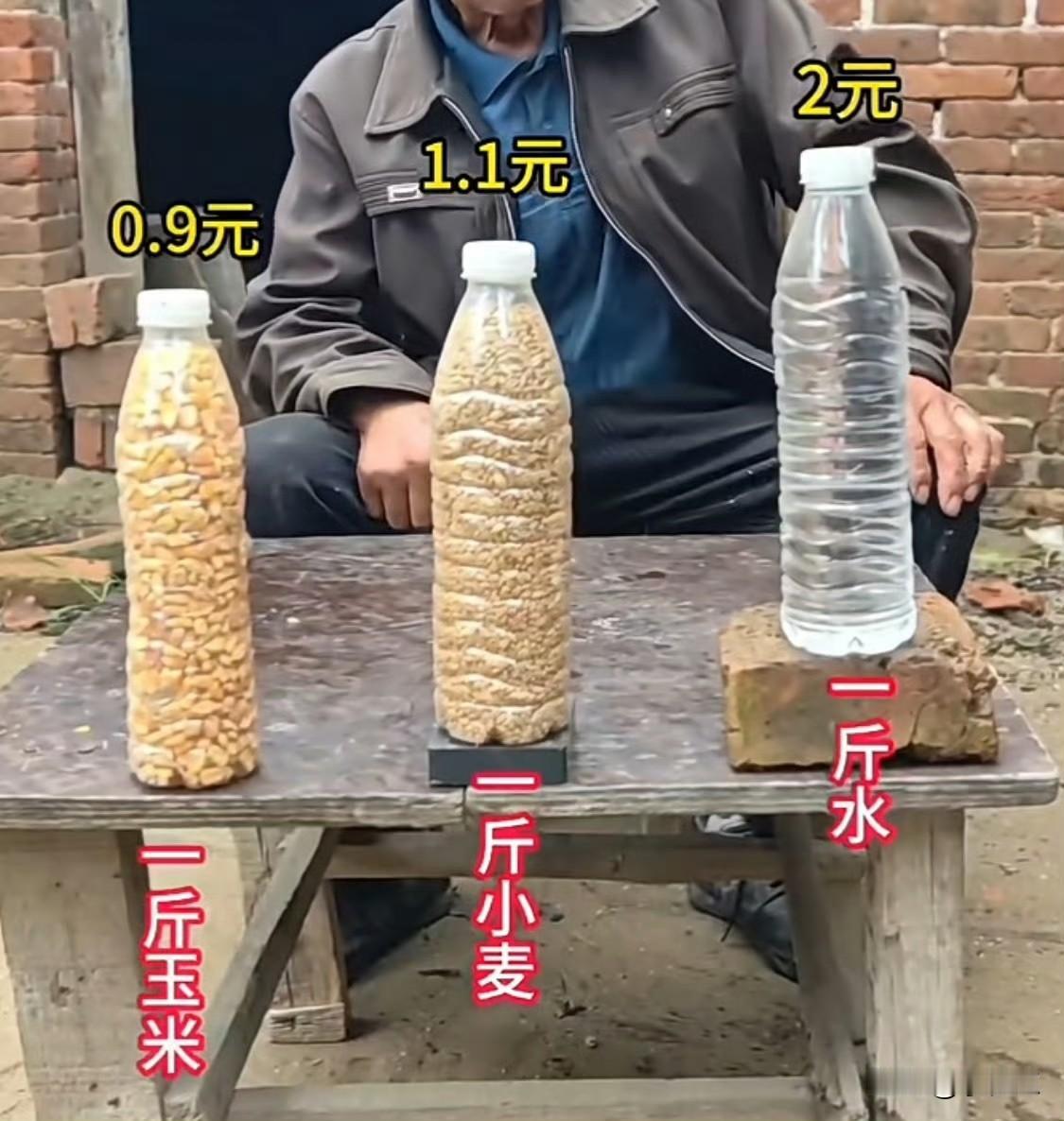 生命之源